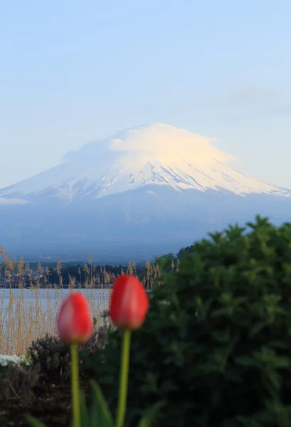 Fuji-fjellet, utsikt fra Kawaguchikosjøen – stockfoto