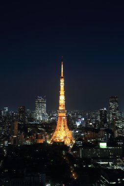 Tokyo şehir manzarası geceleri, Japonya