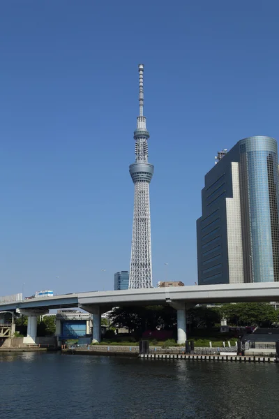 Tokyo Sky árvore com céu azul — Fotografia de Stock