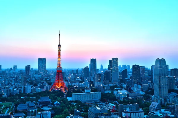 Vista superior da paisagem urbana de Tóquio ao pôr do sol — Fotografia de Stock