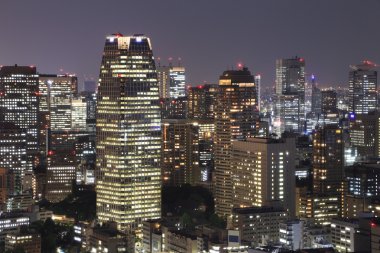 Geceleri Tokyo şehri manzarası 