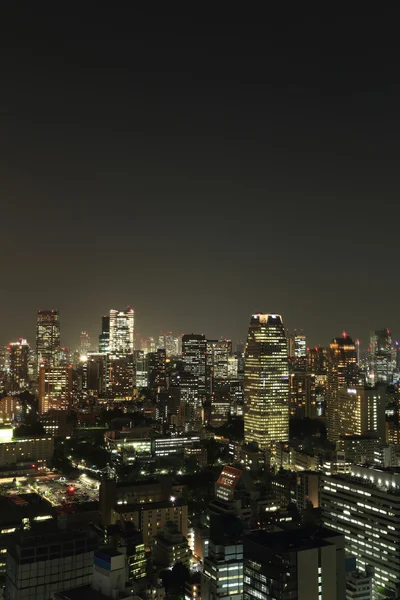 Geceleri Tokyo şehri manzarası — Stok fotoğraf