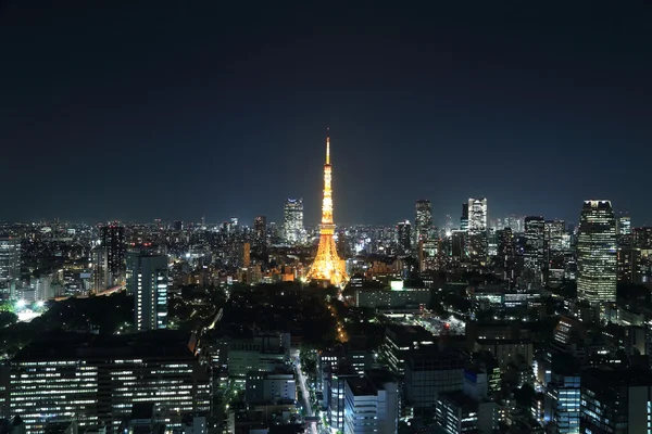 Pohled shora na panoráma města Tokio v noci — Stock fotografie