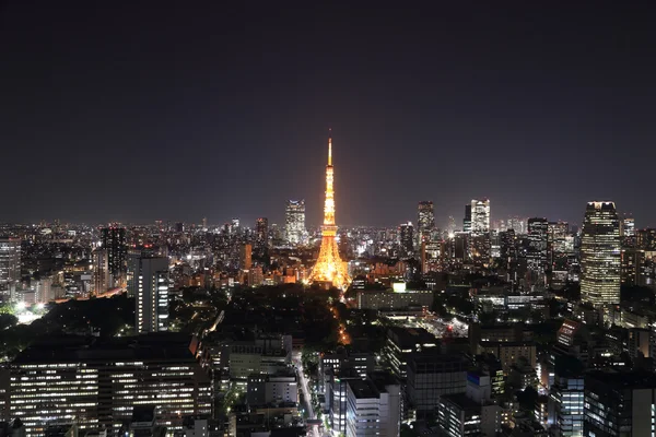 Pohled shora na panoráma města Tokio v noci — Stock fotografie