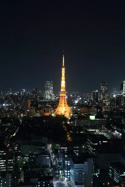 Pohled shora na panoráma města Tokio v noci — Stock fotografie