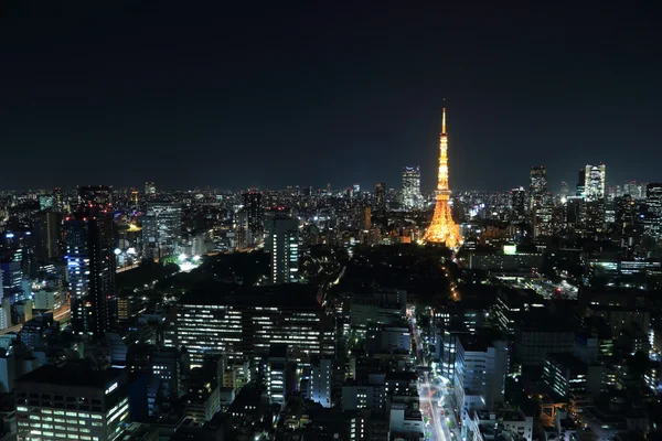 Ovansida av tokyo stadsbilden på natten — Stockfoto