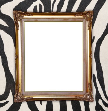 zebra dokulu arka plan