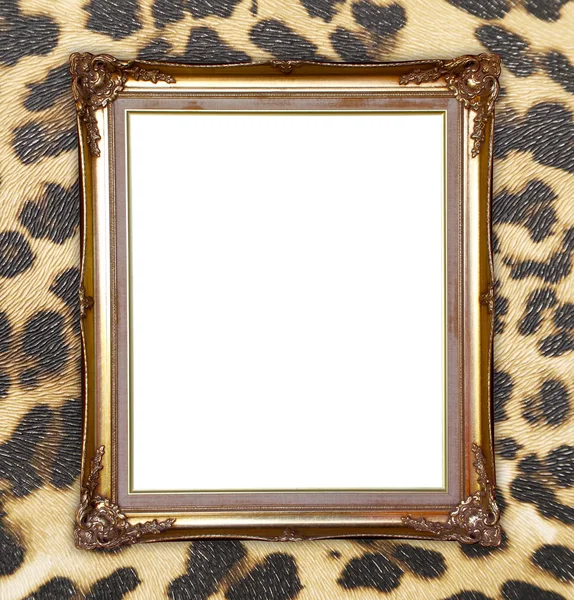 Background with leopard texture — Stock Photo, Image