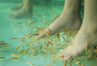 Balık spa cilt tedavisi