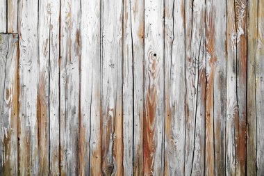 Eski Beyaz ahşap doku 