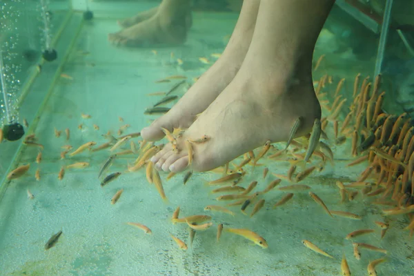 Terapia de piel de spa de pescado — Foto de Stock