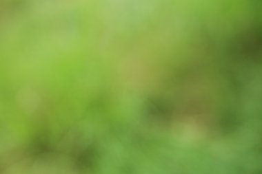 soyut ve arka plan bulanıklık