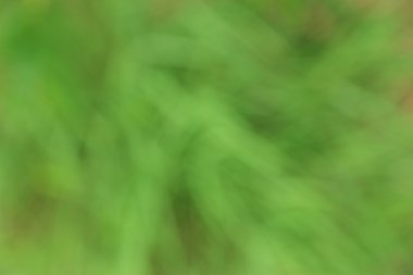 soyut ve arka plan bulanıklık