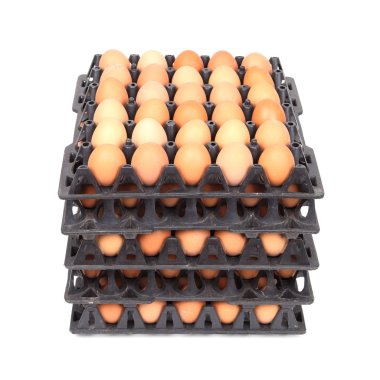 Yumurta içinde tepsi yığını