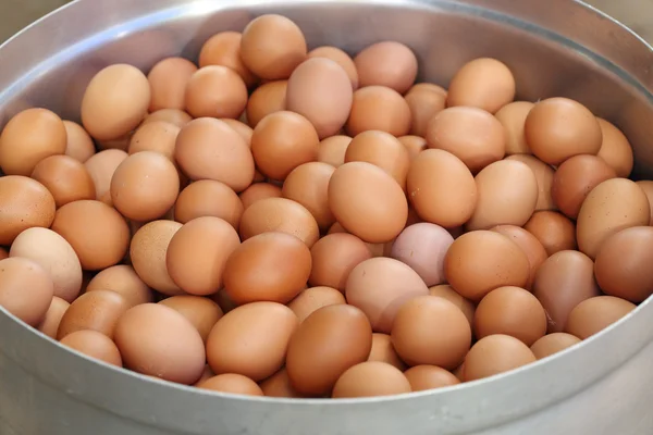 Ovos em grande pote preparam-se para ferver — Fotografia de Stock