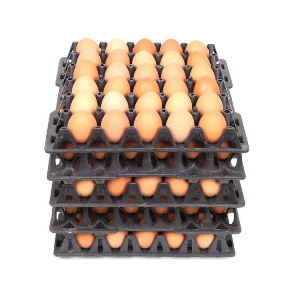 Stack of eggs in tray — Stock Photo, Image