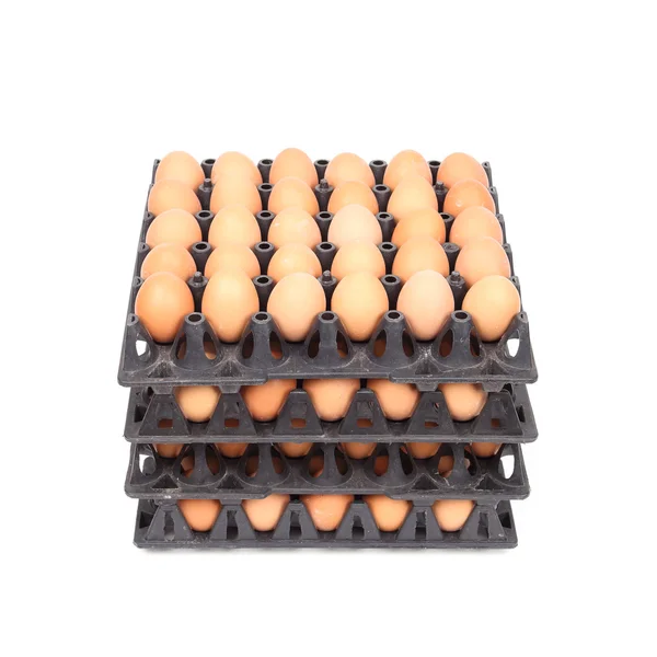 Stack of eggs in tray on white — Stock Photo, Image