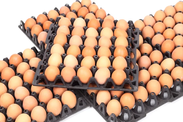 Ovos em bandeja sobre fundo branco — Fotografia de Stock