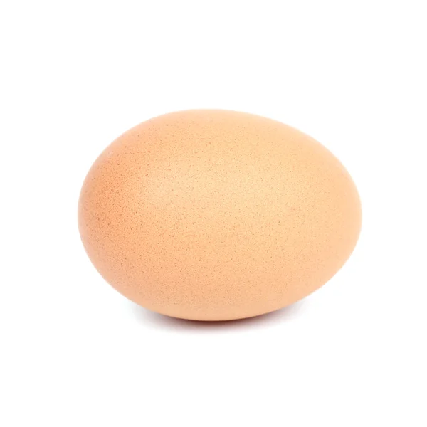 Huevo sobre fondo blanco — Foto de Stock