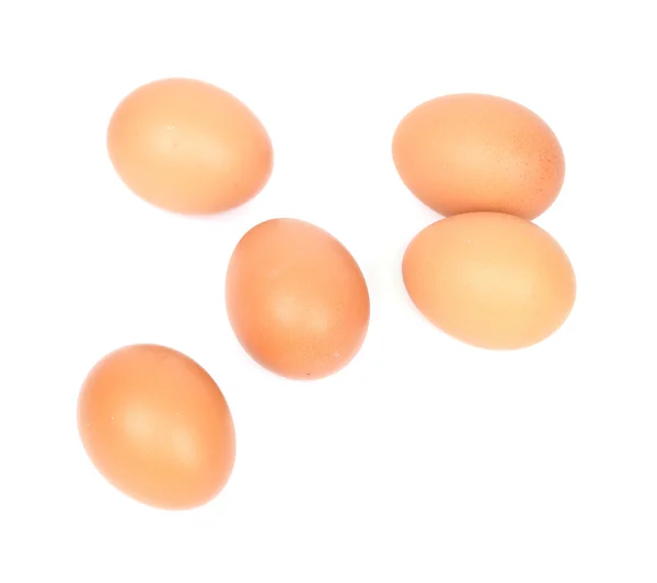 Huevo sobre fondo blanco — Foto de Stock