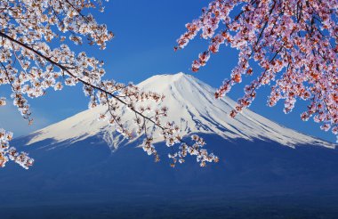 fuji Dağı, göl kawaguchiko görünümünden