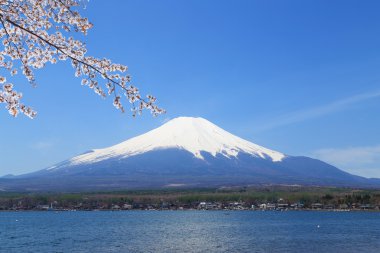 Mt.Fuji at Lake Yamanaka, Japan clipart