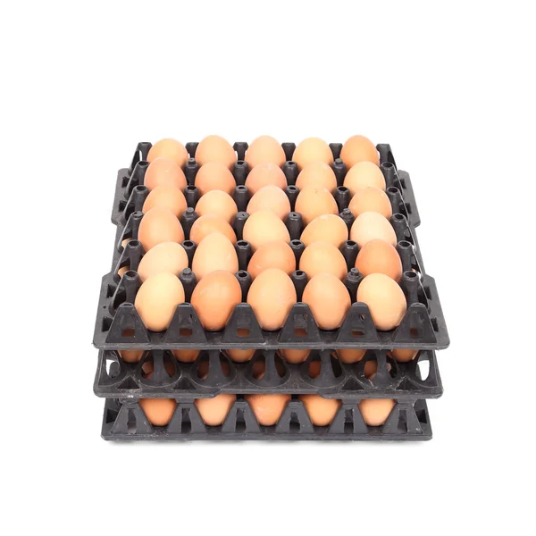 Stack of eggs in tray on white — Stock Photo, Image