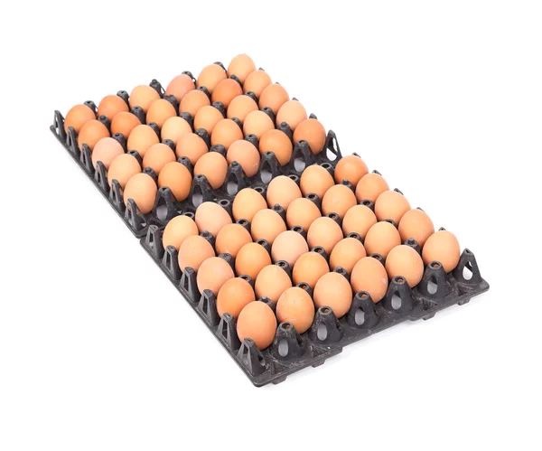 Eggs in tray on white background — Stock Photo, Image