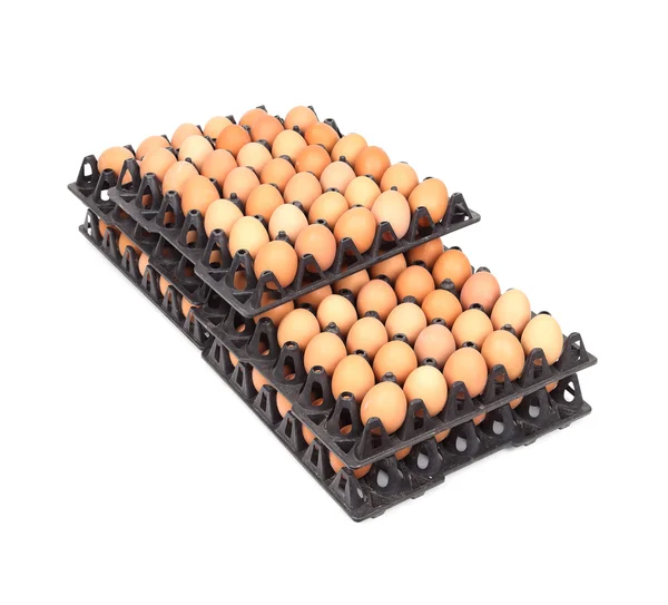 Eggs in tray on white background — Stock Photo, Image