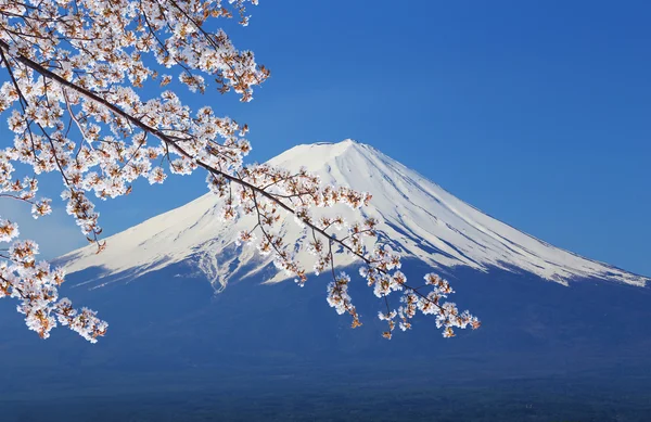 Mount fuji, vy från sjön kawaguchiko — Stockfoto