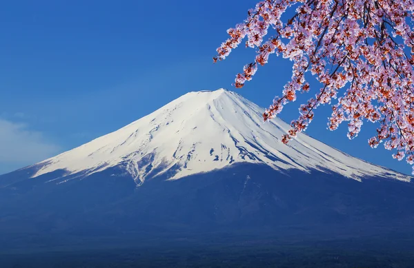 Mount fuji, kilátás a Kawaguchiko-tó partjától — Stock Fotó