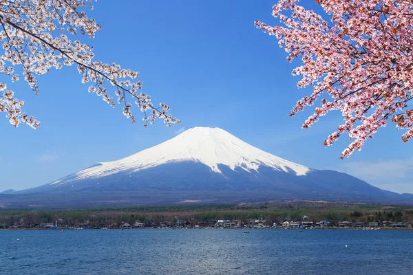 Mt.fuji am yamanaka-see, japan — Stockfoto