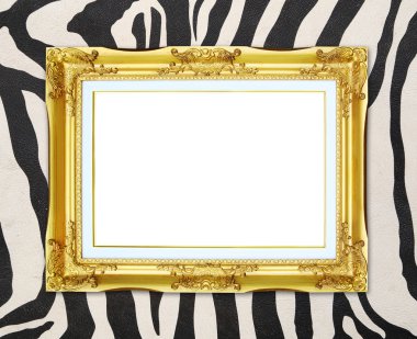 zebra doku arka plan ile altın çerçeve