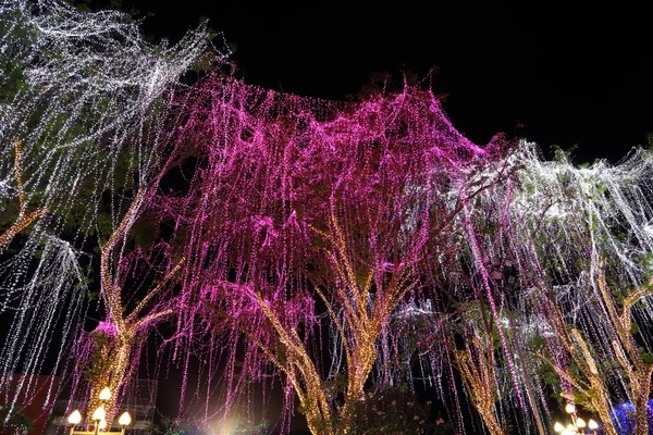 Decoración de iluminación led en un árbol — Foto de Stock