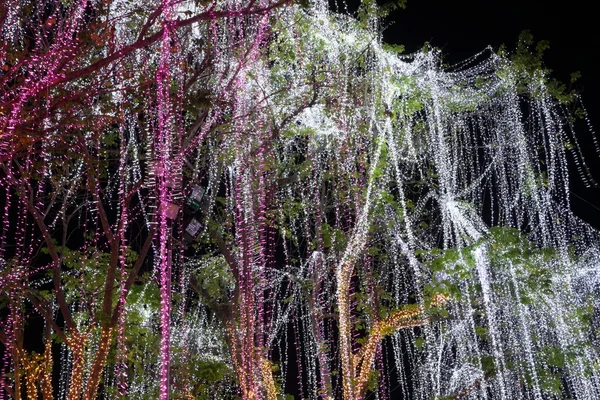 Decoración de iluminación led en un árbol — Foto de Stock