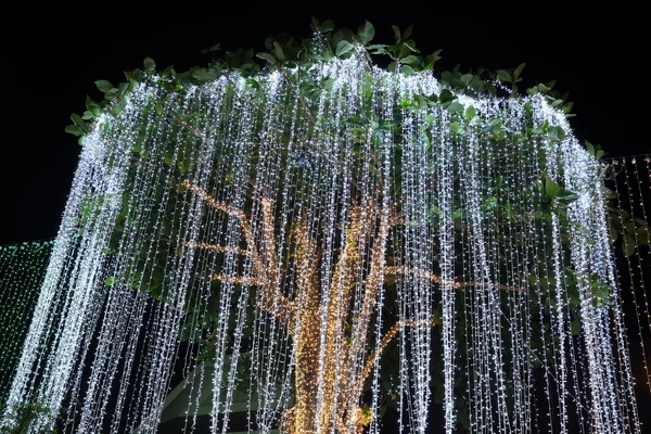 Decorazione illuminazione a LED su un albero — Foto Stock