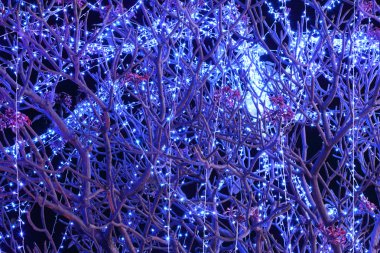 Led aydınlatma dekorasyon