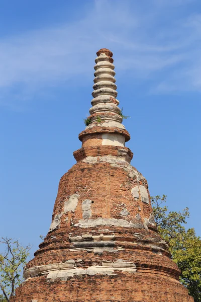 Wat Khudeedao, a ruína de um templo budista no Ayutthaya hi — Fotografia de Stock