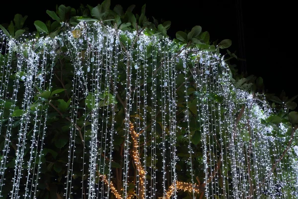 Decorazione illuminazione a LED su un albero — Foto Stock