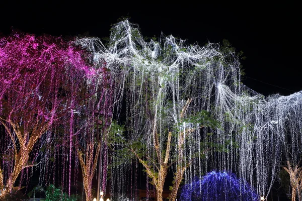 Decoración de iluminación led en un árbol — Foto de Stock