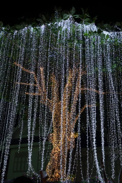 Світлодіодне освітлення на дереві — стокове фото