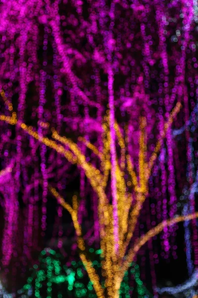 LED verlichting decoratie op een boom — Stockfoto