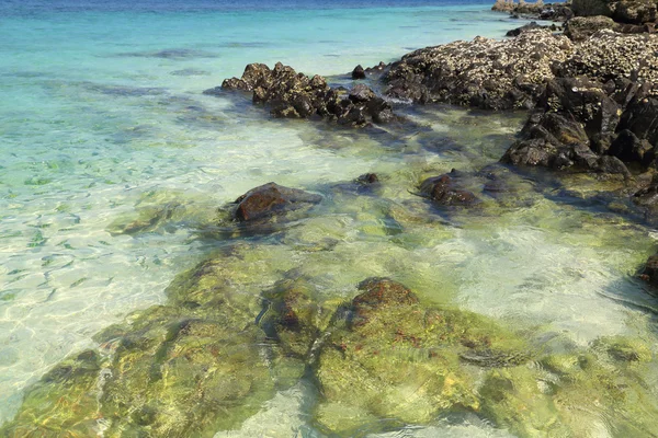 Rock beach with sea at Koh Khai Nok — Stock Photo, Image