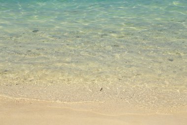 Kumsal ve deniz dalgaları