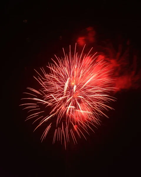 Mooi vuurwerk over hemel — Stockfoto