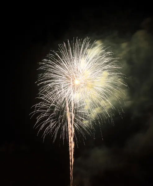 Mooi vuurwerk over hemel — Stockfoto