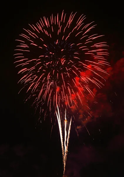 Bellissimi fuochi d'artificio sopra il cielo — Foto Stock