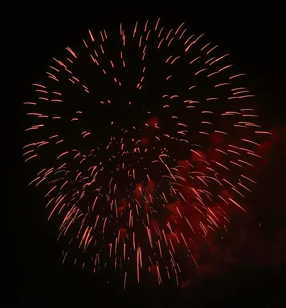 Belos fogos de artifício sobre o céu — Fotografia de Stock