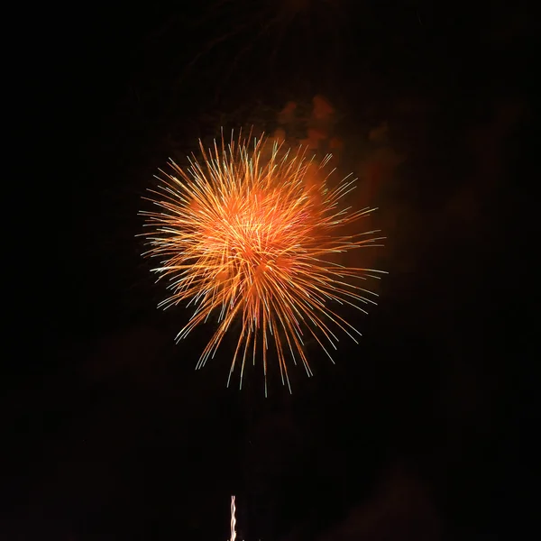 Hermosos fuegos artificiales sobre el cielo —  Fotos de Stock