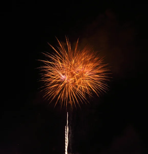 Mooi vuurwerk over hemel — Stockfoto